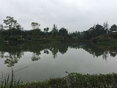 -桤木河湿地公园