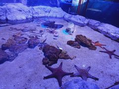 -多彩贵州城极地海洋世界