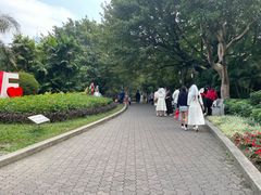 -东风公园
