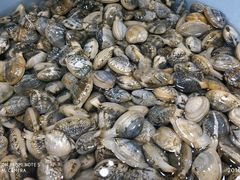 -胖子饺子馆·海鲜家常菜(海军博物馆店)