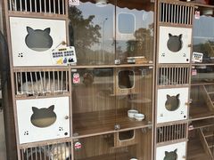 -台山新孖宝柴火黄鳝饭(三合温泉店)