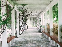 -国家植物园