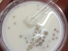 iphone_upload_pic-小草糖水(海棠村店)