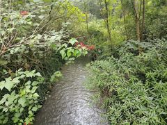 -桤木河湿地公园