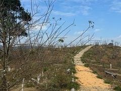 -马峦山郊野公园