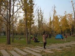 -重庆市江北嘴中央商务区中央公园