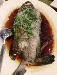 点击看大图 -苏州希尔顿酒店-宴会厅