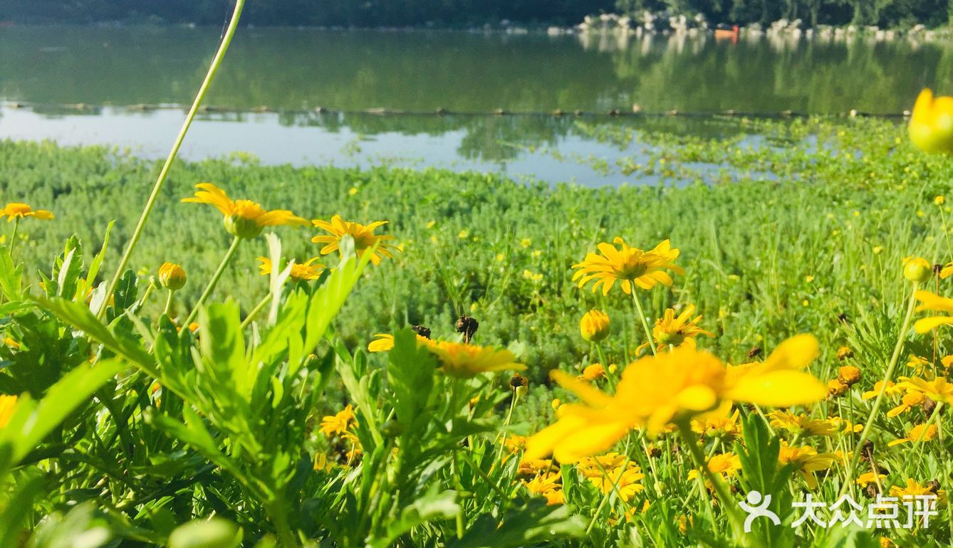 7月清晨初跑盛夏的早晨趁陽光明媚清風拂面