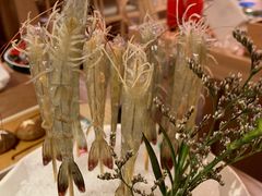 深水虾-尚海豆捞(乐虹坊店)