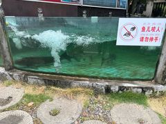 -天怡·鱼工厂(梅溪湖店)