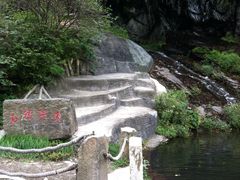 -望天鹅景区