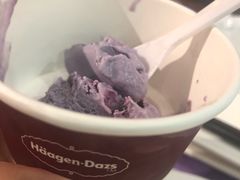 -哈根达斯(武汉天地店)