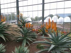 -南通洲际绿博园