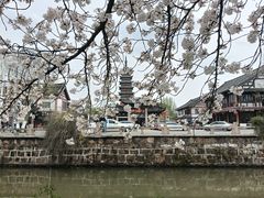 -常熟方塔园