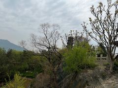 -九华山公园
