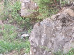 -北京上方山国家森林公园