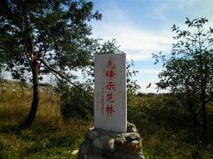 -长虫山生态公园风景林