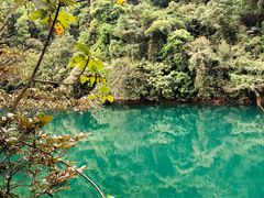 -鼎湖山风景区