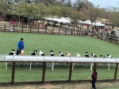 -盈香心动乐园
