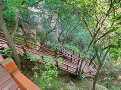 -大岭沟猕猴桃谷风景区
