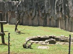-上海野生动物园