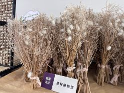 -太湖雪蚕桑文化园