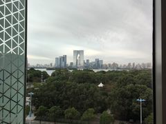 -苏州金鸡湖文博诺富特酒店