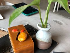沙棘枸杞巧克力蛋糕-Tian品