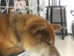 -NOTBAD 须时·咖啡馆