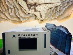 景点-辽宁古生物博物馆