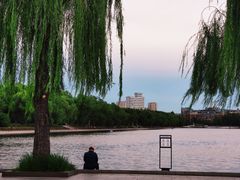 -长春市南湖公园