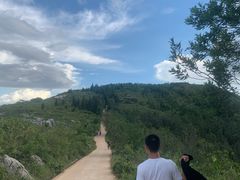 -长虫山生态公园风景林