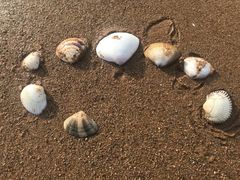 -青岛海泉湾皇冠假日度假酒店
