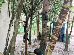 -勇士之星真人CS·团建·拓展(清水河公园店)