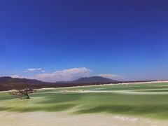 -盐湖景区