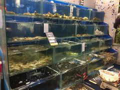 -海味当家·蒸锅海鲜(中山广场创始店)