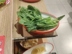 -彤德莱牛肉火锅(双港店)