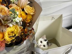 -植物学家的女儿(北马道巷店)