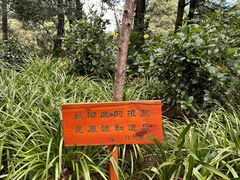 -寂照庵