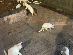 -恩宁刘福记(东华东路店)