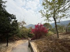 -雁荡山风景名胜区