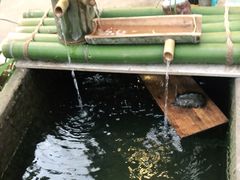 -李东农庄(中南百草园地标店)