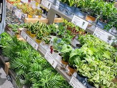 -鹿岛生活(熙地港店)
