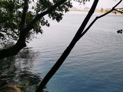 -普者黑风景区-青龙山