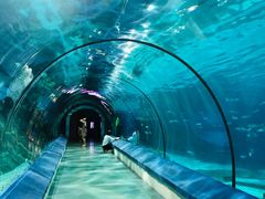 -福州罗源湾海洋世界旅游区