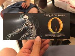 -拉斯维加斯O秀