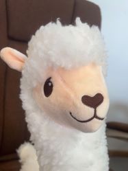 -德绣·机器野生眉发际线·美瞳线半永久