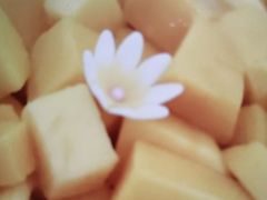 -维尔纳斯·生日蛋糕·动物奶油冰淇淋蛋糕(六里桥店)