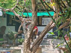 -膳和缘炒鸡店(南门路店)