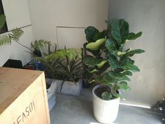 -MIMI FASO(古仓店)